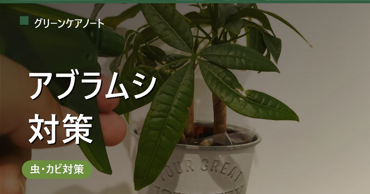 観葉植物のアブラムシ対策｜新芽の小さい虫の駆除方法と予防・薬剤の選び方