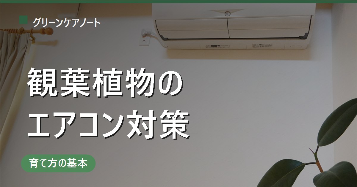 観葉植物にエアコンの風はNG？枯らさないための置き場所・乾燥・冷暖房別の対策