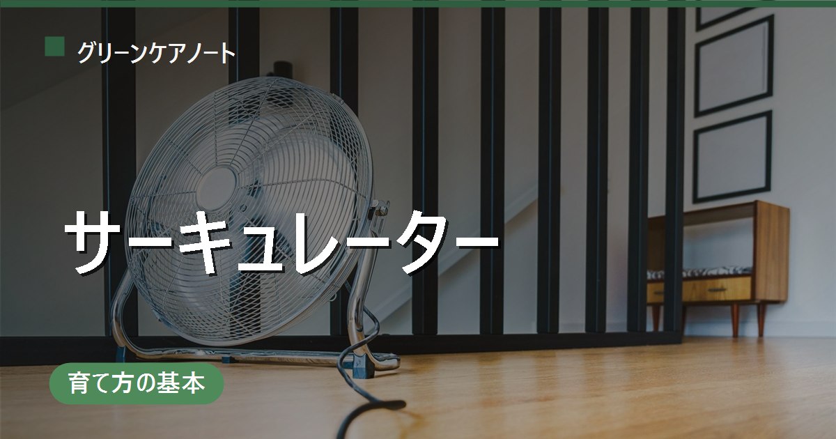観葉植物へのサーキュレーターの当て方|直接当てない置き方と24時間つけっぱなしの可否