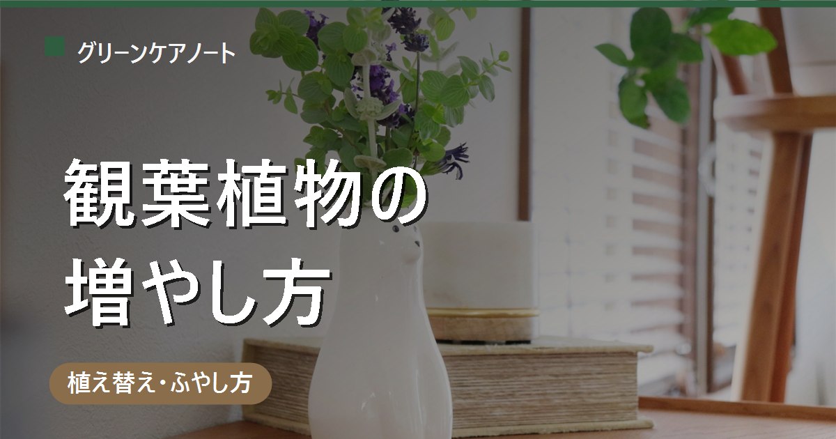 観葉植物の増やし方4選｜挿し木・株分け・水挿し・葉挿しの違いと選び方【早見表】