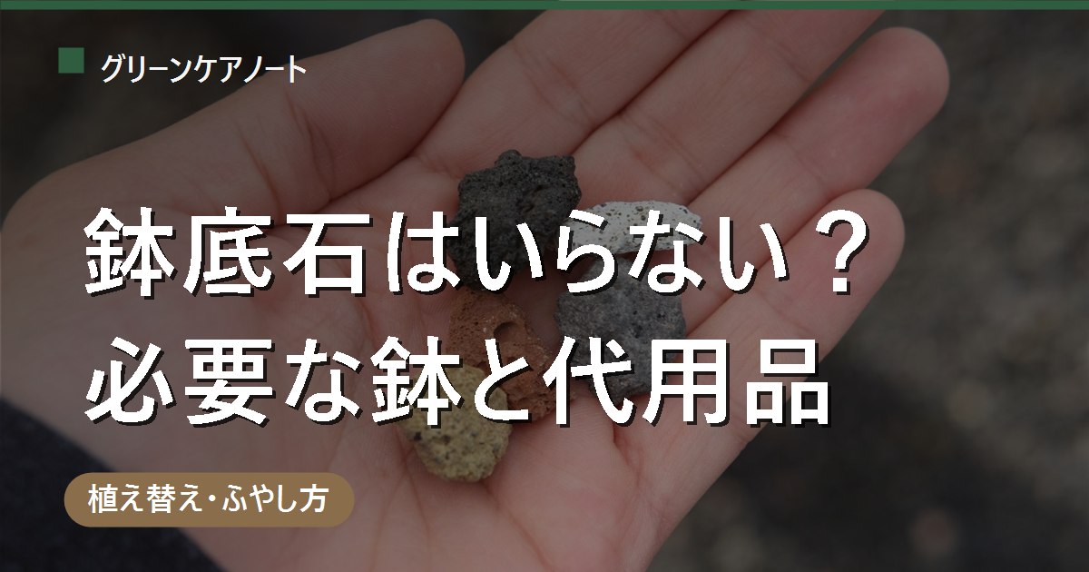 観葉植物に鉢底石はいらない？必要・不要の判断基準と代用品・量の目安