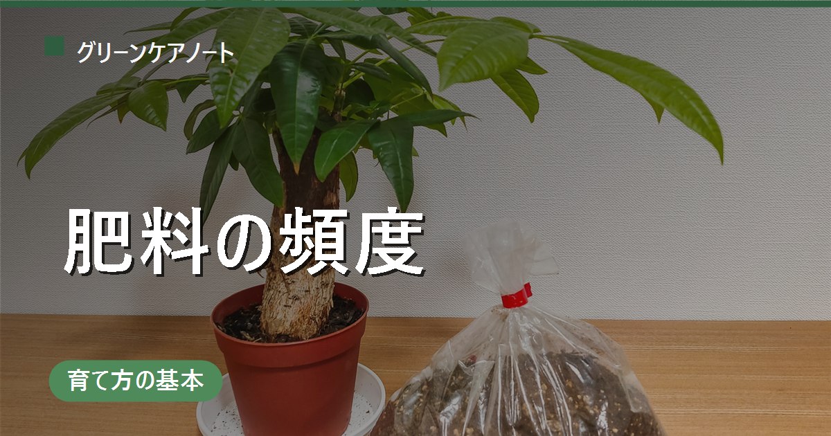 観葉植物の肥料頻度｜生育期は2週間〜2ヶ月に1回・休眠期はあげない基準