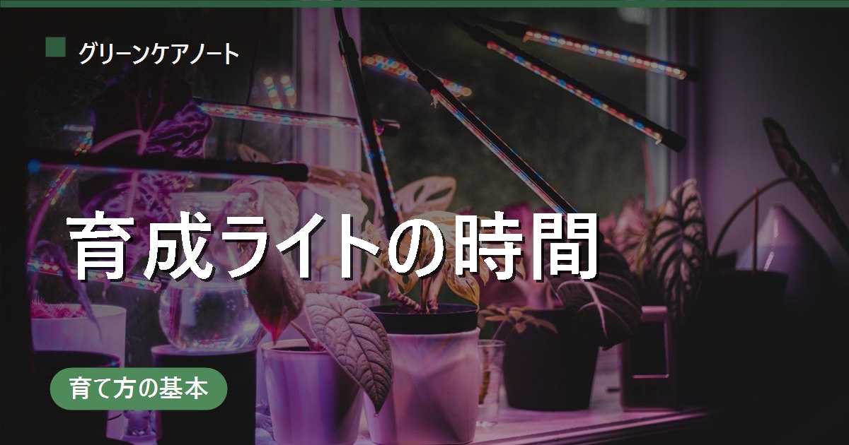 観葉植物の育成ライトは何時間つける？距離の目安と必要かの見分け方