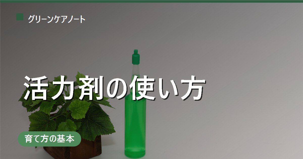 観葉植物の活力剤の使い方｜希釈倍率・頻度・肥料との違いを解説