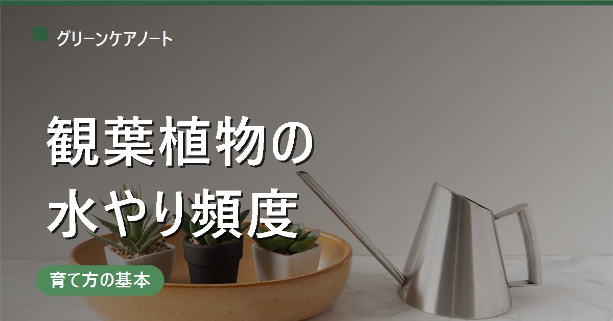観葉植物の水やり頻度｜「◯日に1回」より大事な"土が乾いてから"の見極め方【種類別早見表】