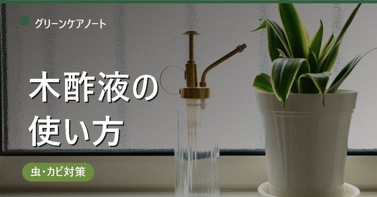観葉植物への木酢液の使い方｜希釈倍率・虫よけ散布の手順と注意点