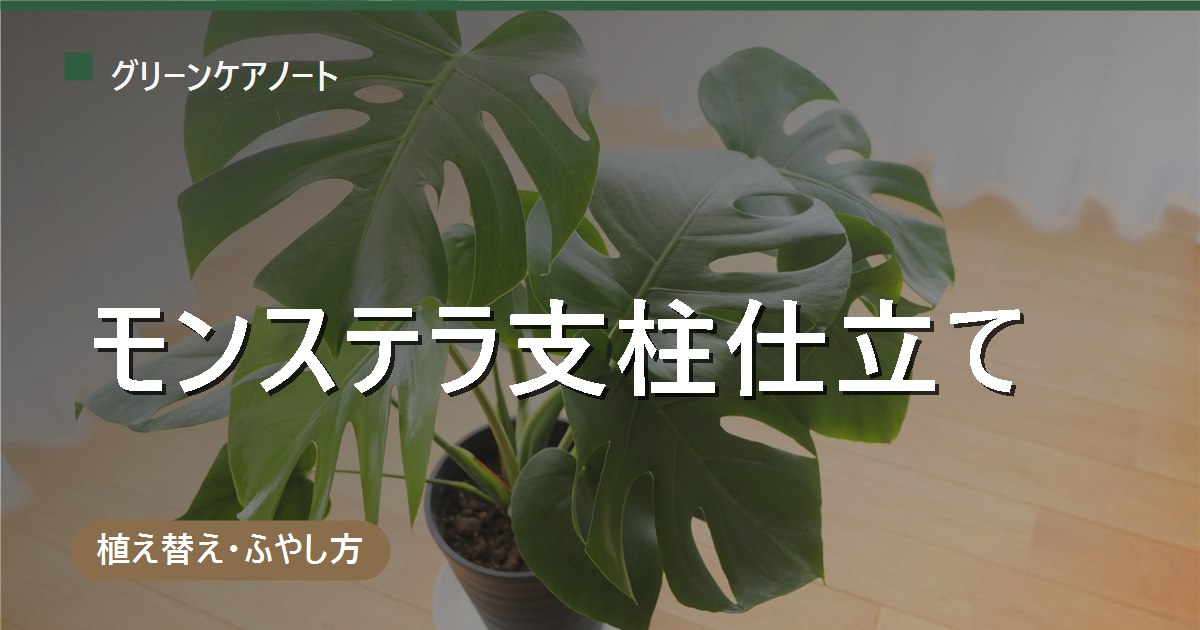 モンステラの支柱の仕立て方｜暴れた株の仕立て直しとモスポールへの気根誘導