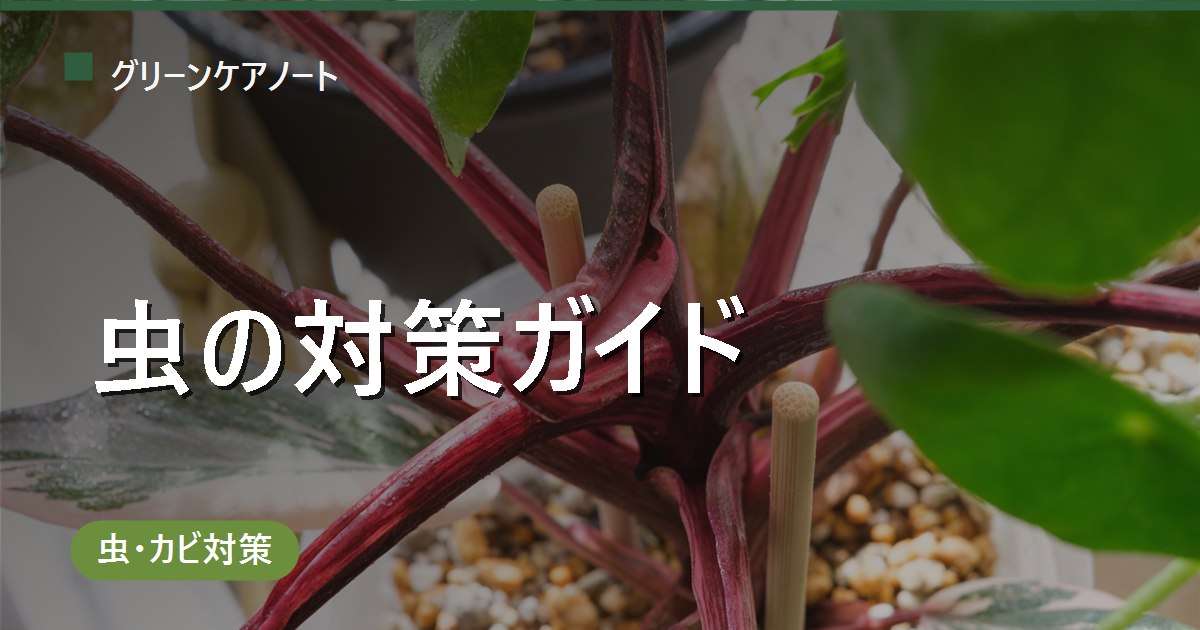 観葉植物に虫がわいたら｜正体の見分け方と対策ガイド【害虫別まとめ】