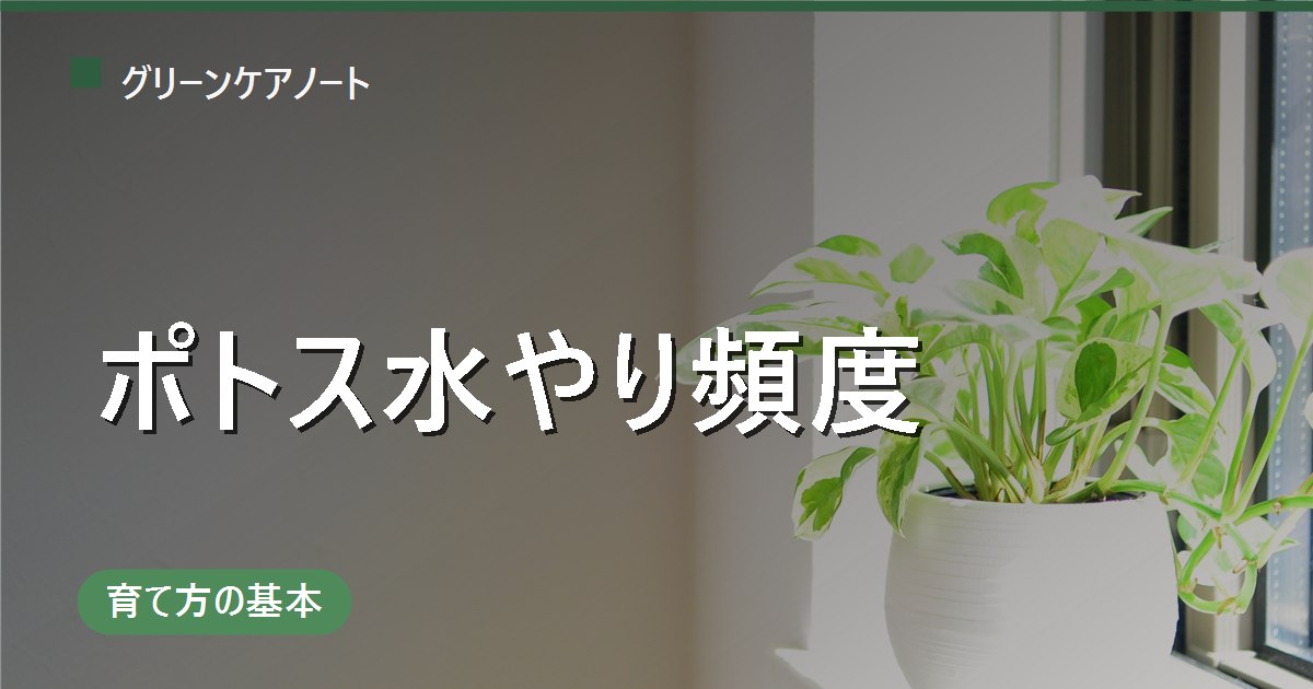 ポトスの水やり頻度は？季節・置き場所別の目安と失敗を防ぐコツ