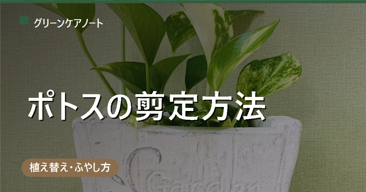 ポトスの剪定方法｜どこを切る？伸びすぎ・スカスカを仕立て直す手順