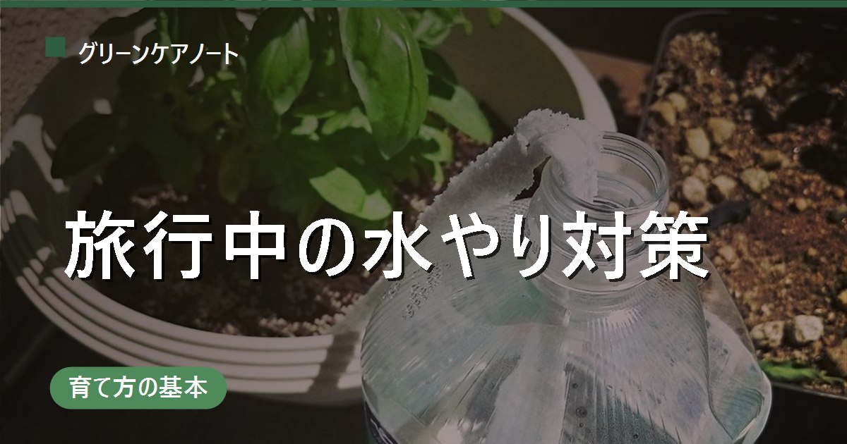 旅行中の水やりはどうする？観葉植物を留守で枯らさない日数別対策