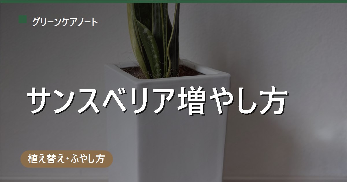 サンスベリアの増やし方｜葉挿し・株分けの手順と斑入り品種の注意点