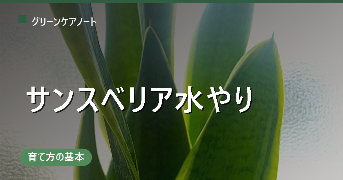 サンスベリアの水やり頻度｜春夏は乾いてから・冬は断水【季節×室温 早見表】
