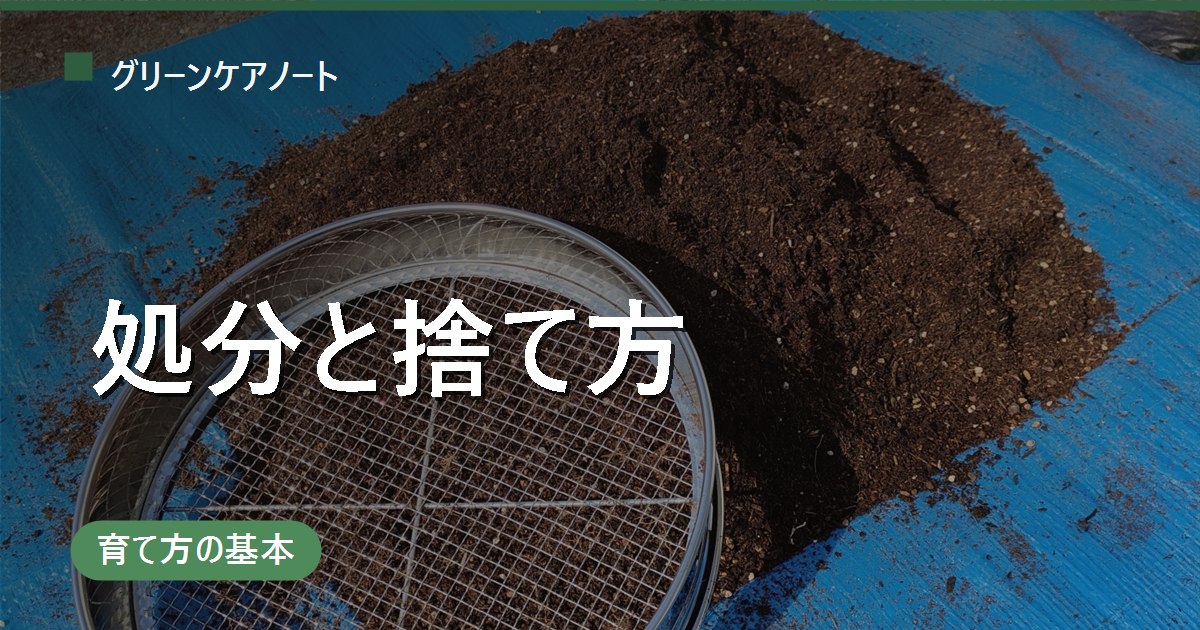 観葉植物の処分方法・捨て方｜土・鉢・大型の株はどうする？