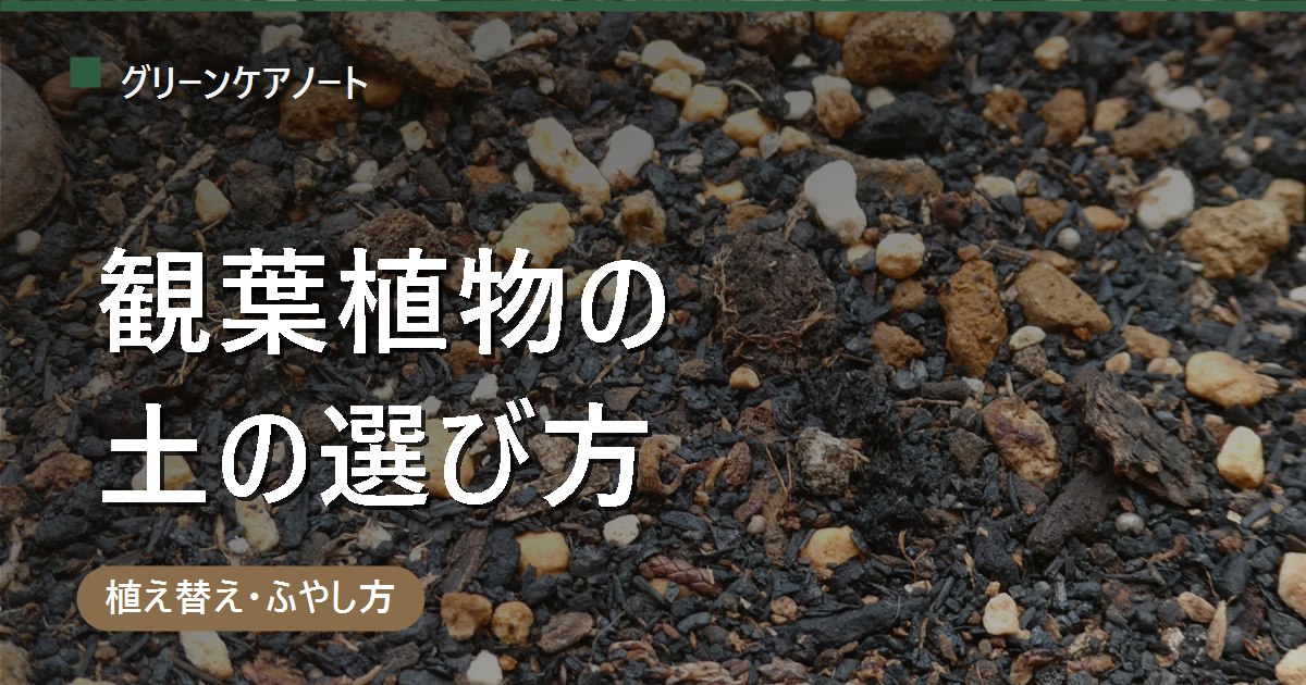 観葉植物の土の選び方｜市販培養土・自分で配合・ハイドロを比較【虫がわかない土も】