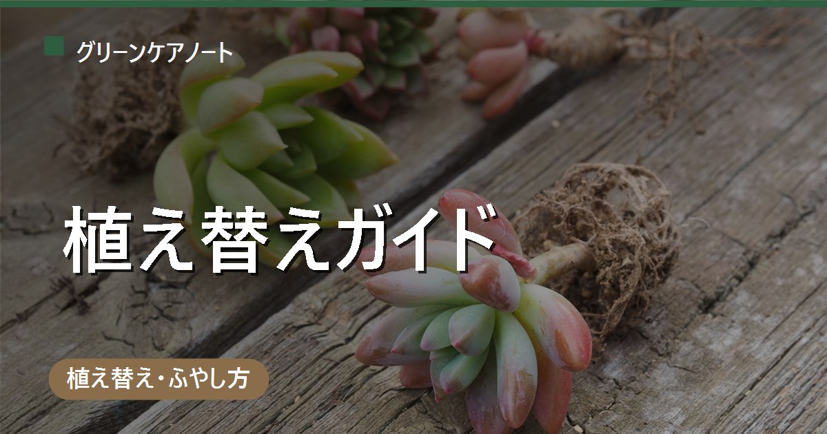 観葉植物の植え替え・剪定・増やし方 完全ガイド｜まず何から読む？記事の選び方